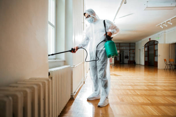 Indoor Pest Control in Taunton, MA